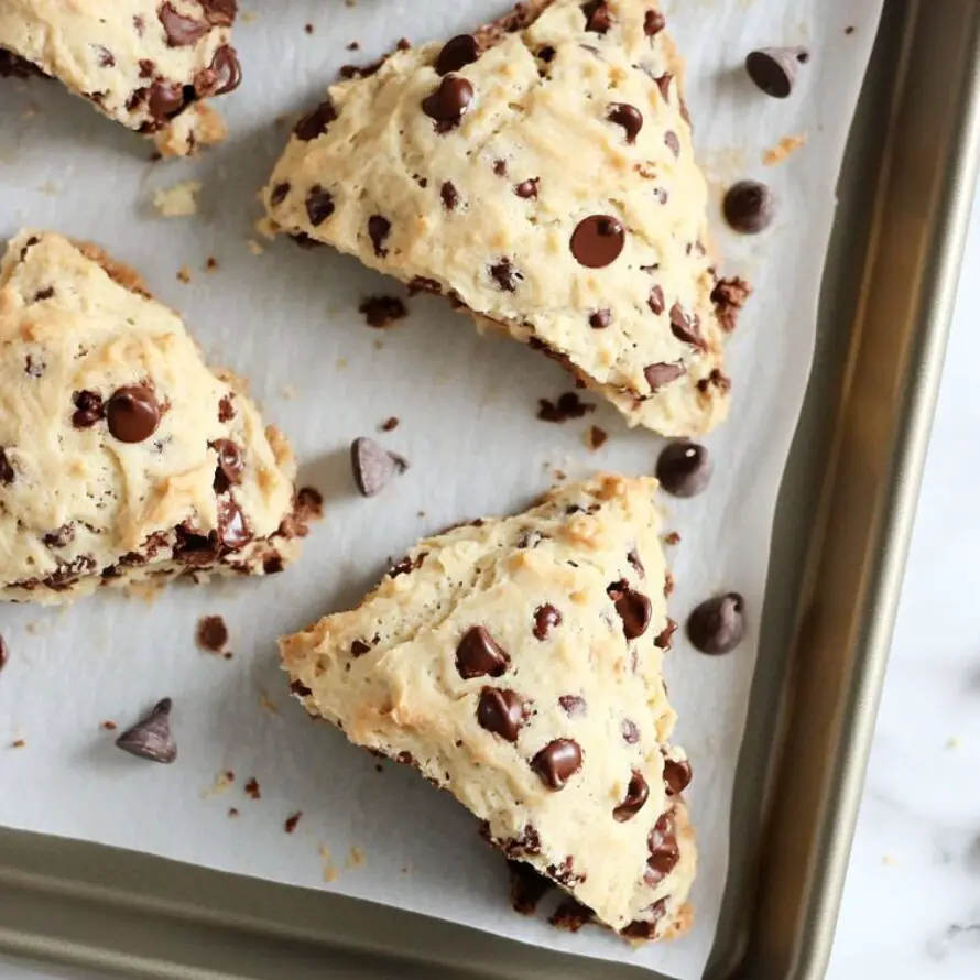 Freshly baked chocolate scones cooling on baking sheet