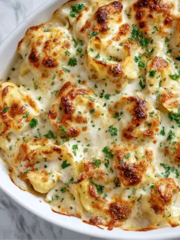 Tortellini Alfredo Bake Recipe in white casserole dish with golden cheese on top.