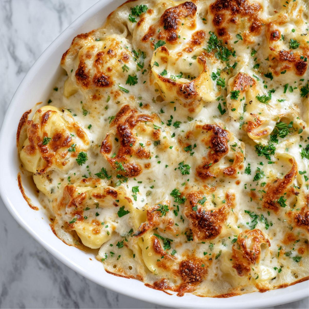 Tortellini Alfredo Bake Recipe in white casserole dish with golden cheese on top.