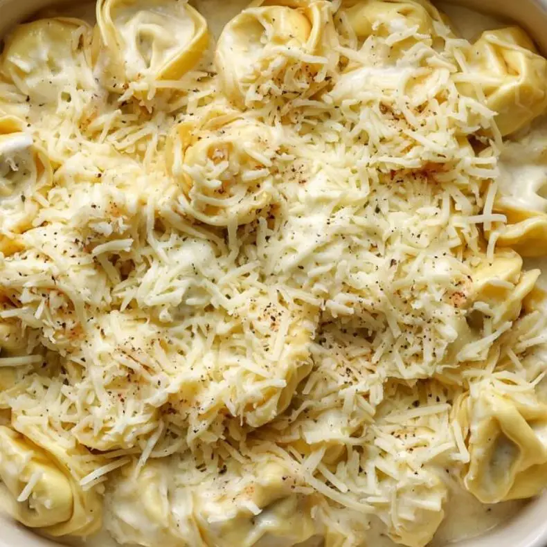 Tortellini Alfredo being assembled in a dish and topped with cheese.
