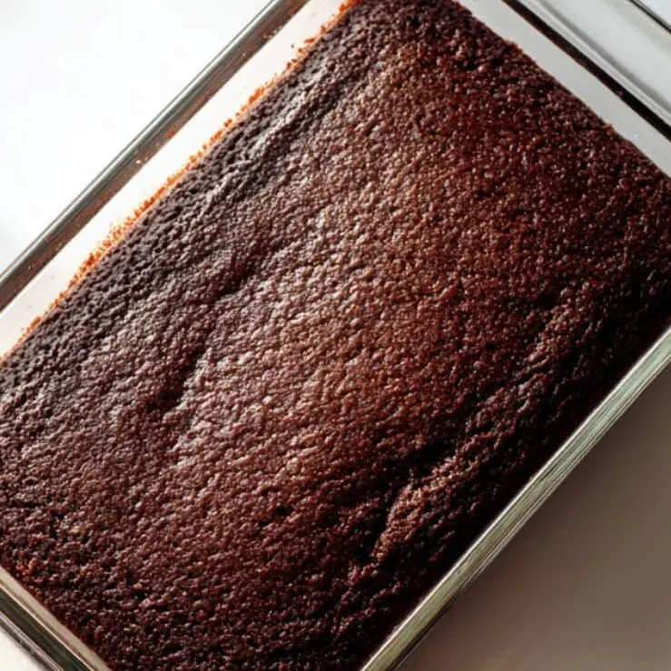 Chocolate cake in a glass baking dish fresh out of the oven