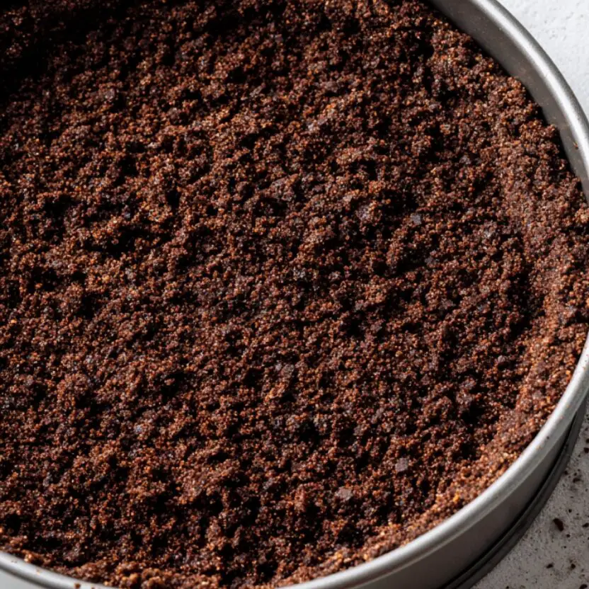Pressed chocolate cookie crust in a springform pan on a white countertop